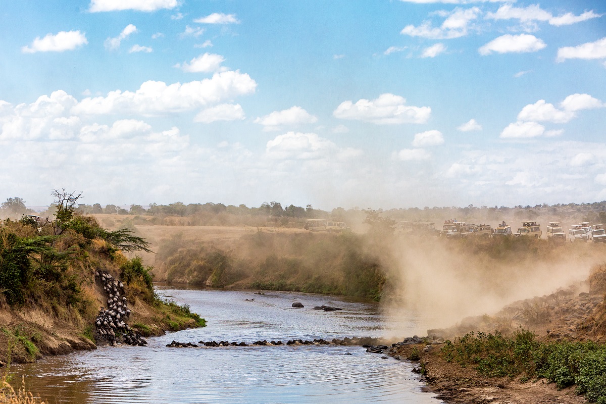 Masai Mara Migration